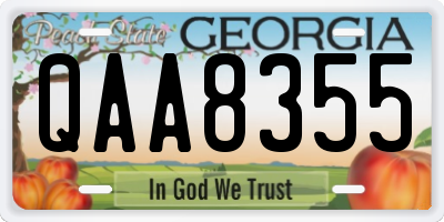 GA license plate QAA8355