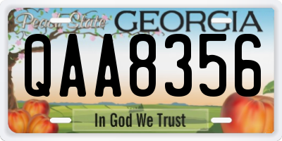 GA license plate QAA8356