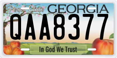 GA license plate QAA8377