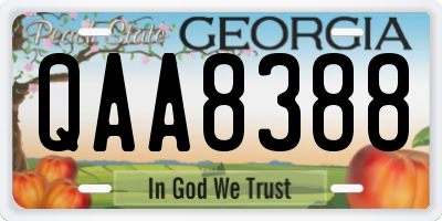 GA license plate QAA8388