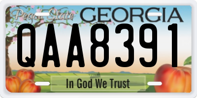 GA license plate QAA8391