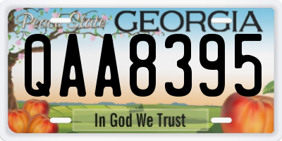 GA license plate QAA8395