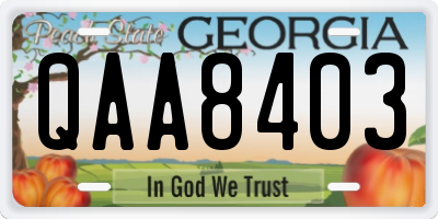 GA license plate QAA8403