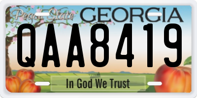 GA license plate QAA8419