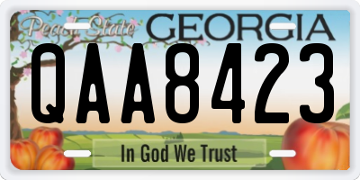GA license plate QAA8423