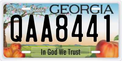 GA license plate QAA8441