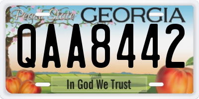 GA license plate QAA8442