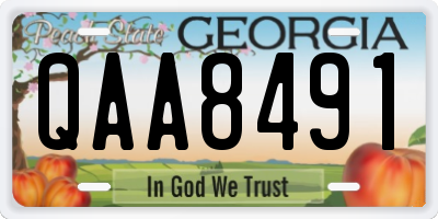 GA license plate QAA8491