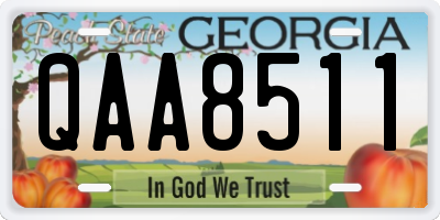 GA license plate QAA8511