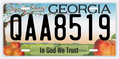 GA license plate QAA8519