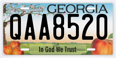 GA license plate QAA8520