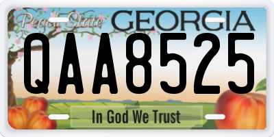 GA license plate QAA8525