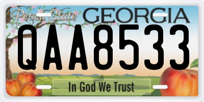 GA license plate QAA8533