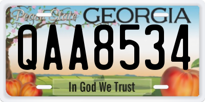 GA license plate QAA8534
