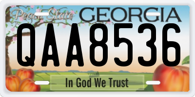 GA license plate QAA8536