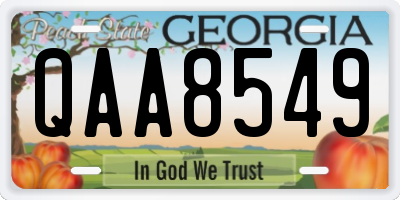 GA license plate QAA8549