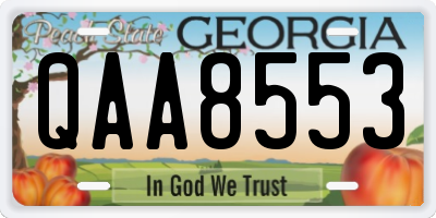 GA license plate QAA8553