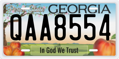 GA license plate QAA8554