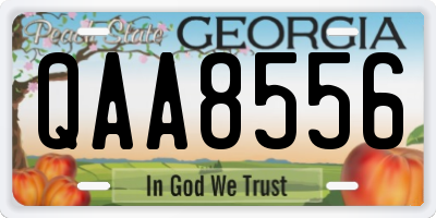 GA license plate QAA8556