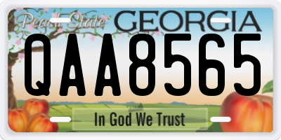 GA license plate QAA8565