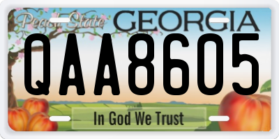 GA license plate QAA8605