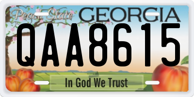 GA license plate QAA8615