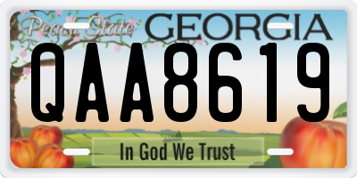 GA license plate QAA8619