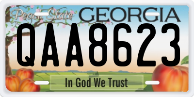 GA license plate QAA8623