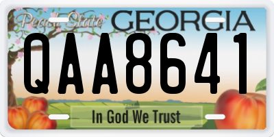 GA license plate QAA8641