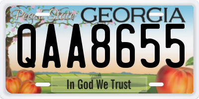 GA license plate QAA8655