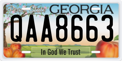 GA license plate QAA8663