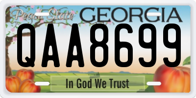 GA license plate QAA8699