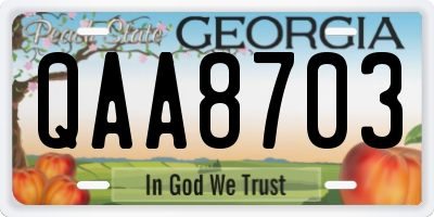 GA license plate QAA8703