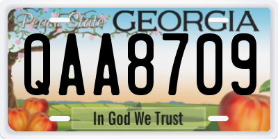GA license plate QAA8709