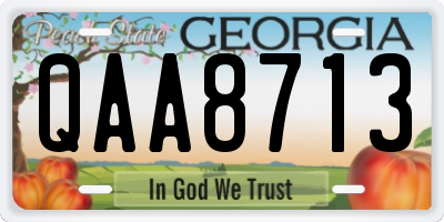 GA license plate QAA8713