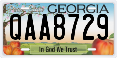 GA license plate QAA8729