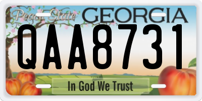 GA license plate QAA8731