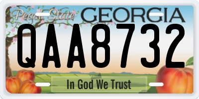 GA license plate QAA8732