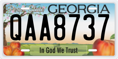 GA license plate QAA8737
