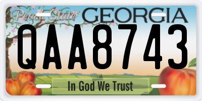 GA license plate QAA8743