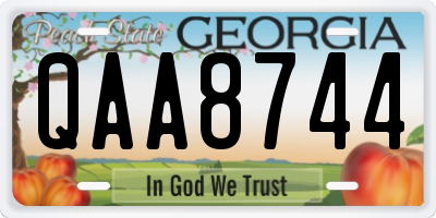 GA license plate QAA8744