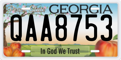 GA license plate QAA8753