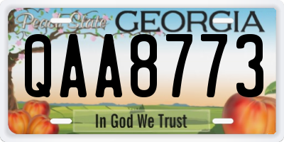 GA license plate QAA8773