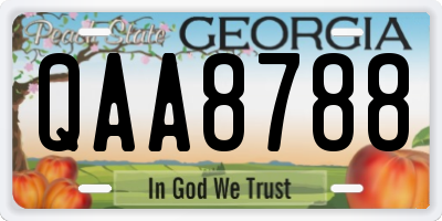 GA license plate QAA8788