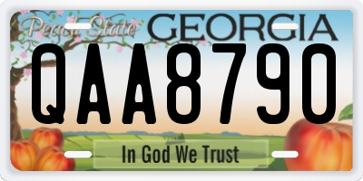 GA license plate QAA8790