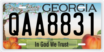 GA license plate QAA8831