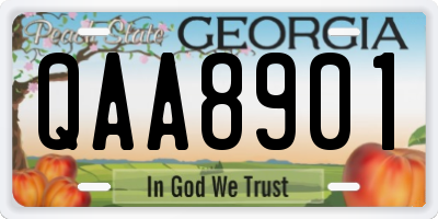 GA license plate QAA8901