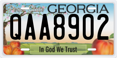GA license plate QAA8902