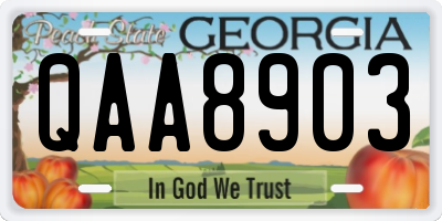 GA license plate QAA8903