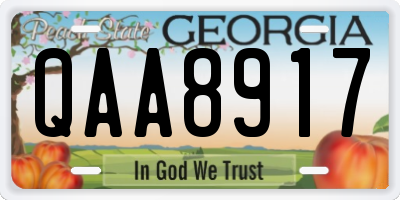 GA license plate QAA8917